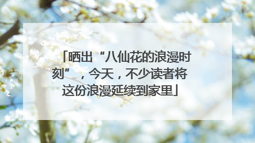 晒出“八仙花的浪漫时刻”，今天，不少读者将这份浪漫延续到家里
