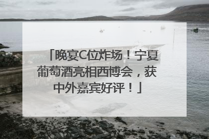 晚宴C位炸场！宁夏葡萄酒亮相西博会，获中外嘉宾好评！