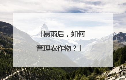 暴雨后，如何管理农作物？