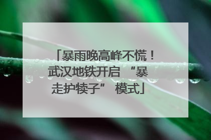 暴雨晚高峰不慌！武汉地铁开启 “暴走护犊子” 模式
