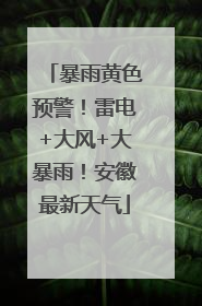 暴雨黄色预警！雷电+大风+大暴雨！安徽最新天气