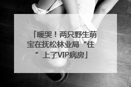 暖哭！两只野生萌宝在抚松林业局“住”上了VIP病房
