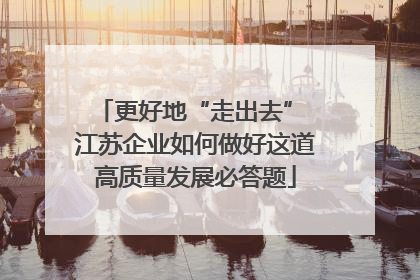 更好地“走出去” 江苏企业如何做好这道高质量发展必答题