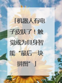 机器人有电子皮肤了！触觉或为具身智能“最后一块拼图”