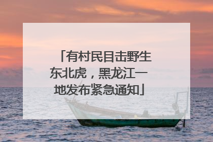 有村民目击野生东北虎，黑龙江一地发布紧急通知