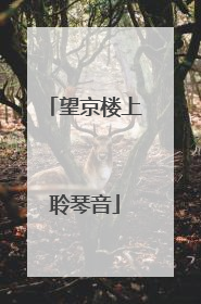 望京楼上聆琴音