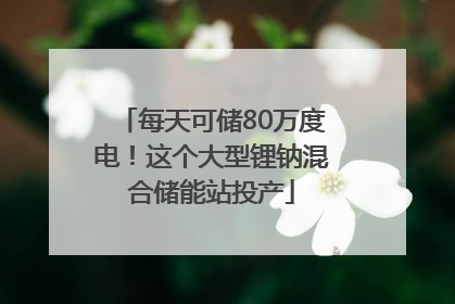每天可储80万度电！这个大型锂钠混合储能站投产