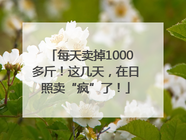 每天卖掉1000多斤！这几天，在日照卖“疯”了！