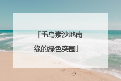 毛乌素沙地南缘的绿色突围