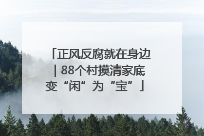 正风反腐就在身边｜88个村摸清家底变“闲”为“宝”