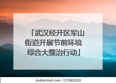 武汉经开区军山街道开展节前环境综合大整治行动