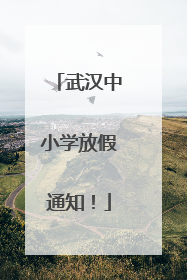 武汉中小学放假通知！