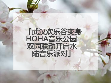 武汉欢乐谷变身HOHA音乐公园 双园联动开启水陆音乐派对