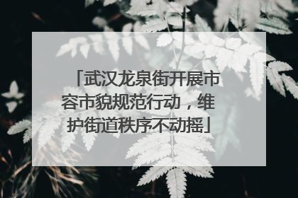 武汉龙泉街开展市容市貌规范行动，维护街道秩序不动摇