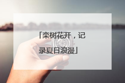 栾树花开，记录夏日浪漫