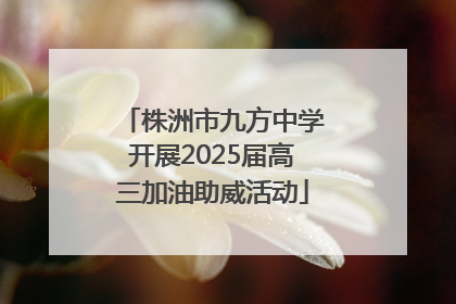 株洲市九方中学开展2025届高三加油助威活动