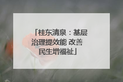 桂东清泉：基层治理提效能 改善民生增福祉