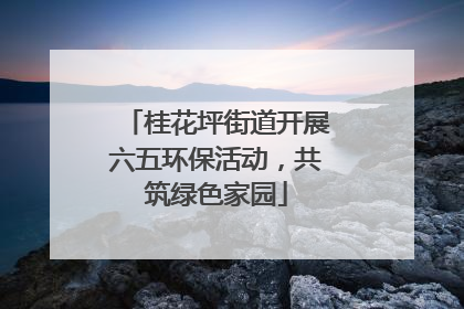 桂花坪街道开展六五环保活动，共筑绿色家园