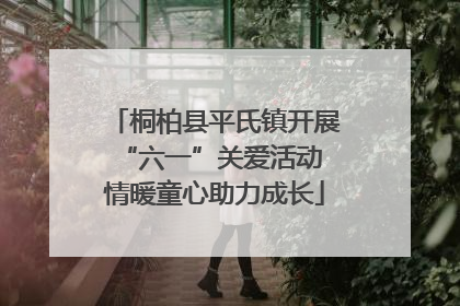 桐柏县平氏镇开展“六一”关爱活动 情暖童心助力成长