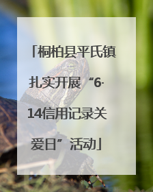 桐柏县平氏镇扎实开展“6·14信用记录关爱日”活动