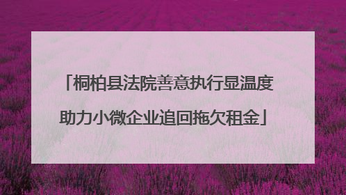 桐柏县法院善意执行显温度 助力小微企业追回拖欠租金