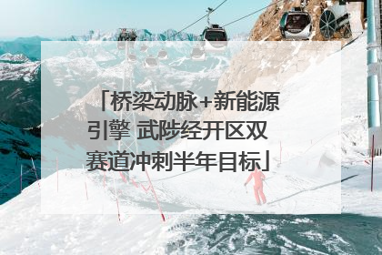 桥梁动脉+新能源引擎 武陟经开区双赛道冲刺半年目标