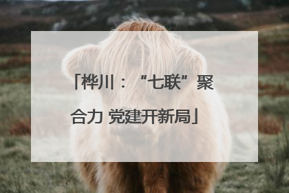桦川：“七联”聚合力 党建开新局