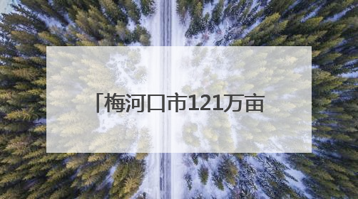 梅河口市121万亩旱田基本播种完成