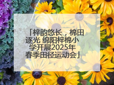 梓韵悠长，棉田逐光 绵阳梓棉小学开展2025年春季田径运动会