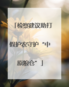 检察建议助打假护农守护“中原粮仓”