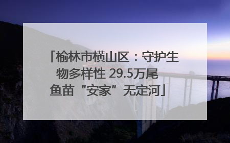 榆林市横山区：守护生物多样性 29.5万尾鱼苗“安家”无定河