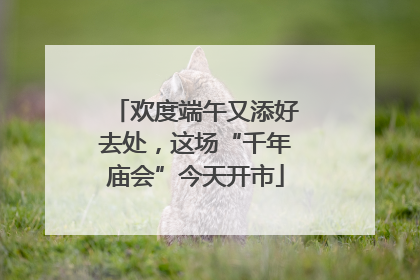 欢度端午又添好去处，这场“千年庙会”今天开市