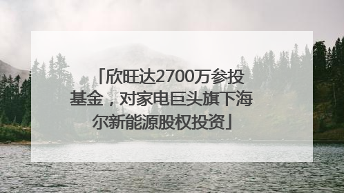 欣旺达2700万参投基金，对家电巨头旗下海尔新能源股权投资