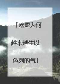 欧盟为何越来越生以色列的气