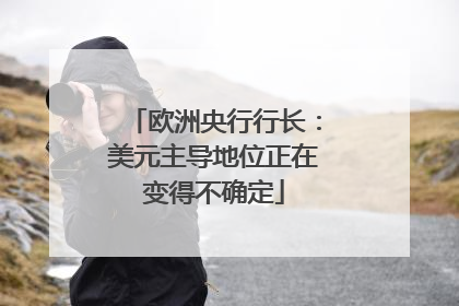欧洲央行行长：美元主导地位正在变得不确定