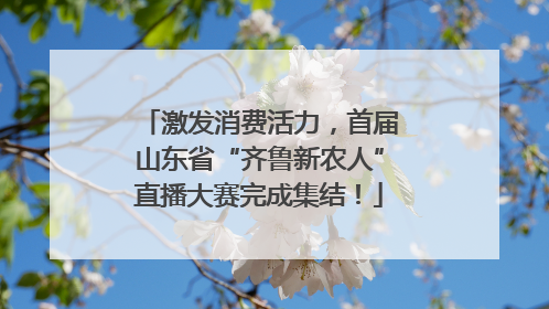 激发消费活力，首届山东省“齐鲁新农人”直播大赛完成集结！