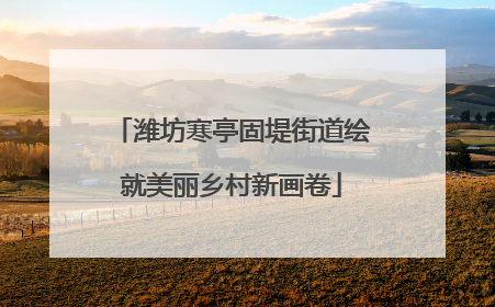 潍坊寒亭固堤街道绘就美丽乡村新画卷
