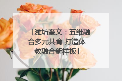 潍坊奎文：五维融合多元共育 打造体教融合新样板