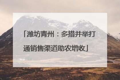 潍坊青州：多措并举打通销售渠道助农增收