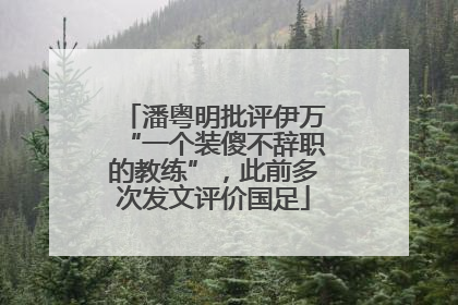 潘粤明批评伊万“一个装傻不辞职的教练”，此前多次发文评价国足