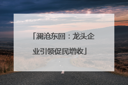 澜沧东回：龙头企业引领促民增收