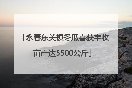 永春东关镇冬瓜喜获丰收 亩产达5500公斤