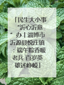 民生大小事 “沂心沂意”办丨淄博市沂源县悦庄镇：端午粽香暖老兵 百岁英雄述峥嵘
