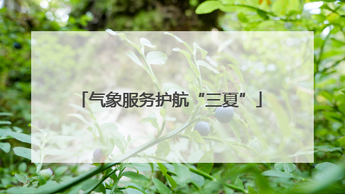 气象服务护航“三夏”