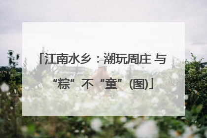 江南水乡：潮玩周庄 与“粽”不“童”(图)