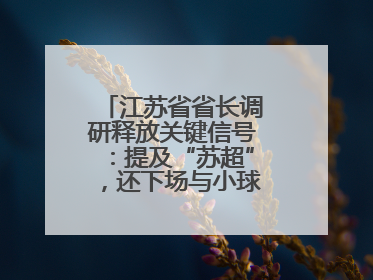 江苏省省长调研释放关键信号：提及“苏超”，还下场与小球员踢球互动