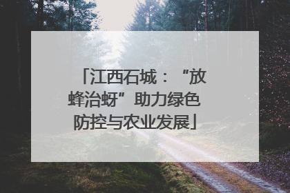 江西石城：“放蜂治蚜”助力绿色防控与农业发展