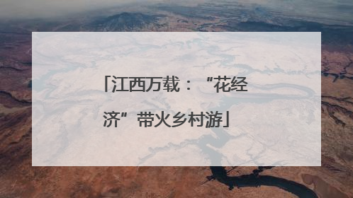 江西万载：“花经济”带火乡村游