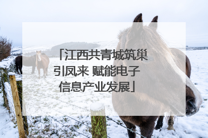 江西共青城筑巢引凤来 赋能电子信息产业发展