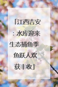 江西吉安：水库迎来生态捕鱼季 鱼跃人欢获丰收